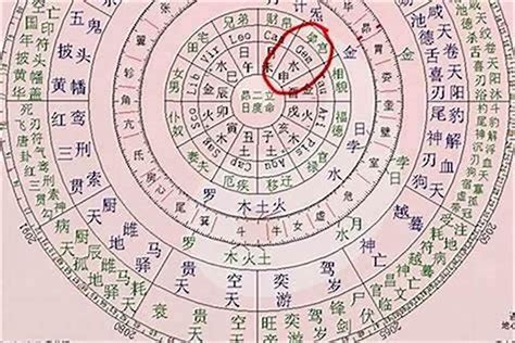 八字如何看命格|八字新手教學 